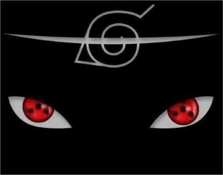 owais.dayanfragrances.pk